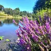 Vincent Moreau - @vincent.moreau0 - TikTok