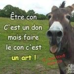 Vincent Moreau - @vincent.moreau.180 - Instagram