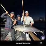 Vincent Moretti - @vincentmoretti61 - Instagram