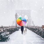 Vincent Yu - @vincent_moriarty - Instagram