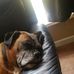 Vinnie Moriarty - Facebook