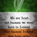 Vinny Moriarty - Facebook