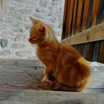 Vincent Moser - @moservincent - Instagram
