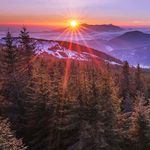Vincent Moser - @vincentmoser - Instagram