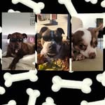 Vincent Mulhern - @hocklee22 - Instagram