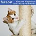 Vincent Napoleon - Facebook