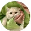 仕事中の天使 - @vincentnapoleon4 - TikTok