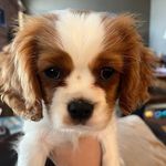 Vincent Neri - @vincent.neri.92 - Instagram
