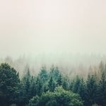 Vincent Noga - @nogavincent - Instagram