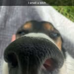 Vincent O’Brien - @vinny70_04 - Instagram