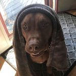 Vincent Marchello O’Connell - @vince_oco - Instagram