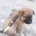 Vincent Oliva - Facebook