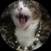 vincentoliva - @vincentoliva - TikTok