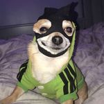 Vincent O'Neill - @vincent_from_the_scheme - Instagram