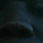 Vincent Orro - @orrovincent - Instagram