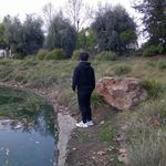 Vincent - @wasvincentoverhere - Instagram