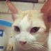 Vincent Palma - Facebook