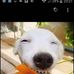 Vincent Parr - Facebook
