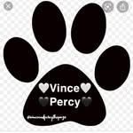 🤍 Vincent & Percy 🖤 - @vinceandpercythepugs - Instagram