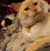 Vincent Perkins - Facebook