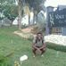 Vincent Petro - Facebook