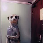 @vincent_petrovic - Instagram