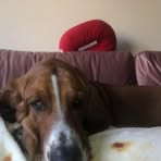 Vincent Brian Buczkowski - Facebook