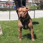 Vincent Pierce - @vincentpierce310 - Instagram