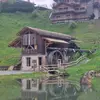 Vincent Piron - @vincent.piron3 - TikTok