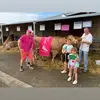 vincentplesant - @vincentplesant - TikTok