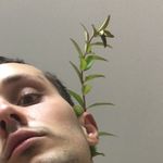 Vincent Pons - @vincentpons - Instagram