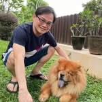 Poh Vincent - @vincent_poh - Instagram