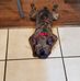 Vincent Pratt - Facebook