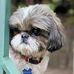 Vincent Prevost - Facebook
