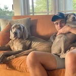 Vincent Priore - @vincentpriore - Instagram