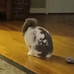 Vincent Proffitt - @vincent.proffitt - Instagram