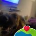 Vincent Quirk - Facebook