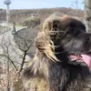 Vincent Radermecker - @vincent.radermeck - TikTok