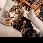 Vincent - @vincent_rainbowghost - Instagram