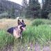 Vince Raines - Facebook