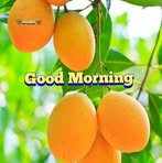 Vincent Raja - Facebook