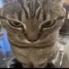 Vincent Ramirez - @vincent.ramirez59 - TikTok