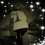 Vincent D'amico Raso - @vincentdamicoraso - Instagram