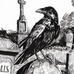 Vincent the Raven - @tales.from.nevermore - Instagram