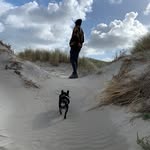 Vincent Rentenaar - @vincent_rentenaar - Instagram