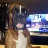 Vincent Regan - @vincent.regan - TikTok