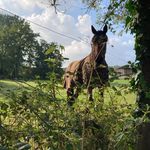 marie renault - @marie_et_vincent_renault_ - Instagram