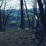 Vincent Renault - @the.pistache - Instagram