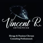 Vincent Renault - @vincent_r_entreprise - Instagram