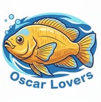 Vincent Rils - Facebook